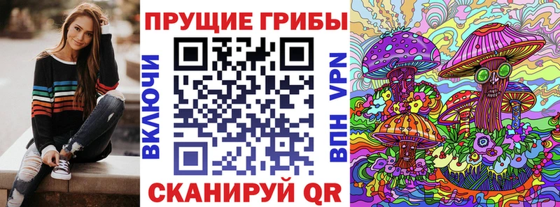 купить наркотики сайты  Краснодар  Галлюциногенные грибы Psilocybine cubensis 